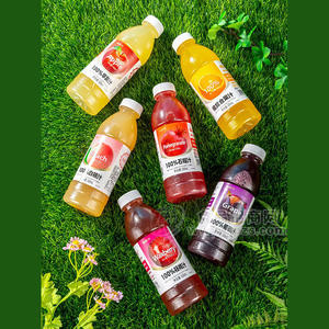 益正元100%多种口味果汁饮料600ml