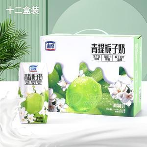 忠厚乳业青提栀子奶200mlX12盒