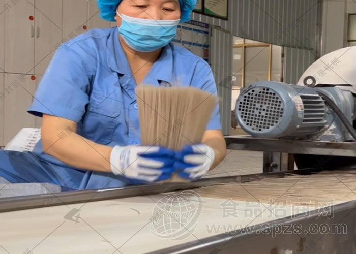 涂布铺浆工艺粉条机 无需开粉搓粉 支持多样化加工