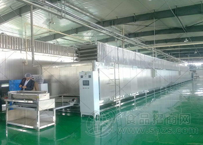 丽星无矾粉丝粉条生产线 食品级材质 适配红薯土豆淀粉