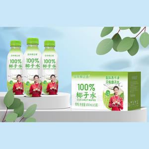 百年椰正香100%椰子水植物饮料600mlx15瓶