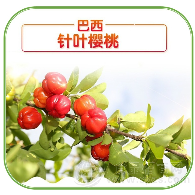 巴西针叶樱桃粉17%