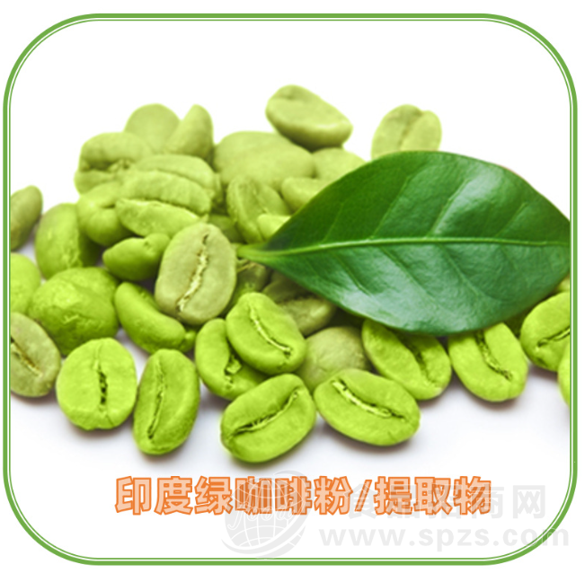 印度KP进口绿咖啡粉|绿咖啡提取物