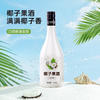 椰子果酒加工定制果酒規(guī)格定制