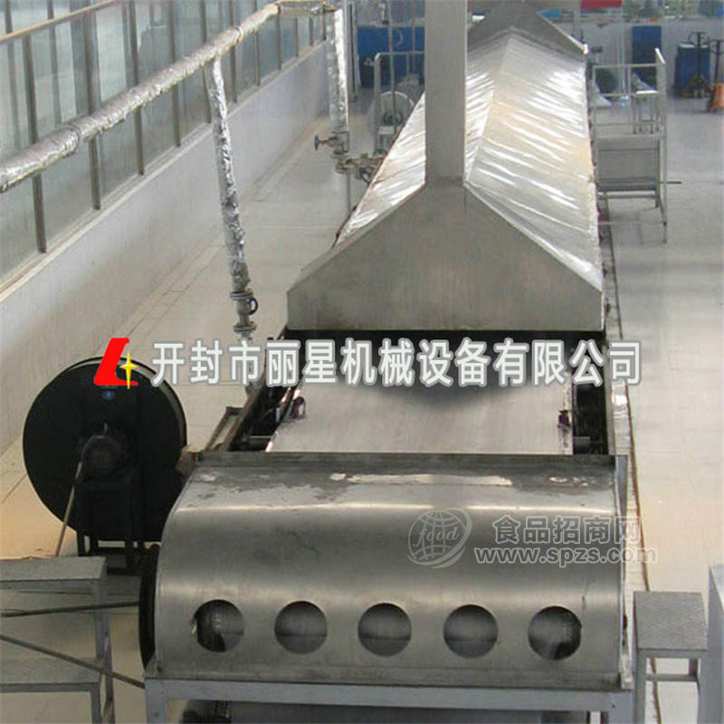 麗星自動化粉絲生產線 涂布鋪漿工藝 無明礬 全年可生產