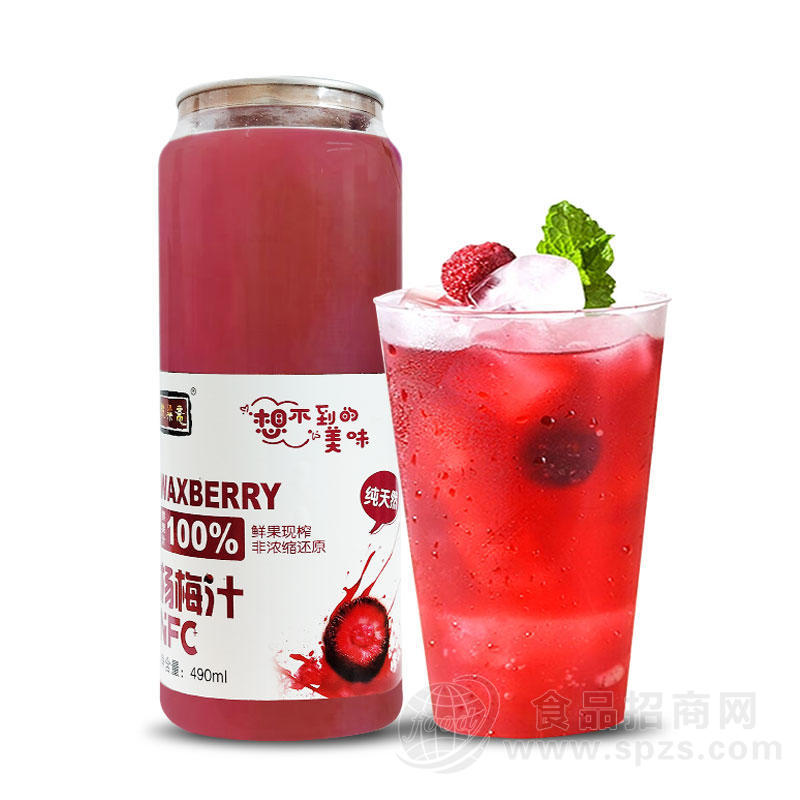 乾梁斋杨梅汁风味饮料490ml