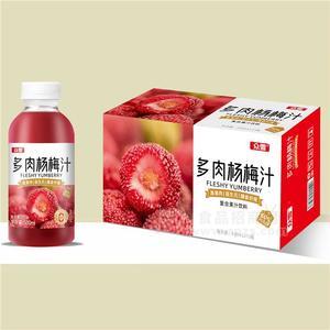 眾雪多肉楊梅汁復(fù)合果汁飲料500mlx15瓶