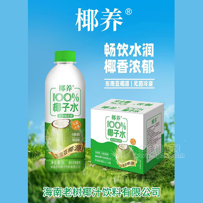 椰養(yǎng)100%椰子水無(wú)菌冷灌非濃縮還原飲料飲品植物飲料招商1L