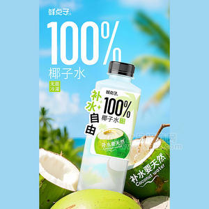 鮮點(diǎn)子無菌冷罐裝100%椰子水果汁飲料500ml