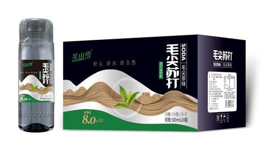 关山雪苏打水饮料毛尖茶味