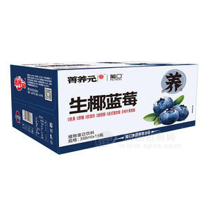 葡口生椰藍(lán)莓植物蛋白飲料飲品招商箱裝