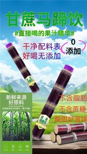 甘蔗馬蹄飲560mL植物果蔬汁風(fēng)味飲料網(wǎng)紅抖音快手OEM貼牌
