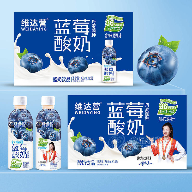 维达营蓝莓酸奶酸奶饮品饮料厂家招商360ml
