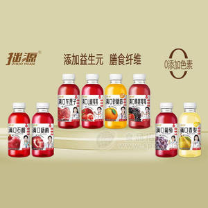 拙源瓶裝果汁飲料廠家招商