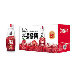 輕上冰鎮(zhèn)楊梅果蔬汁飲品飲料廠家招商360ml
