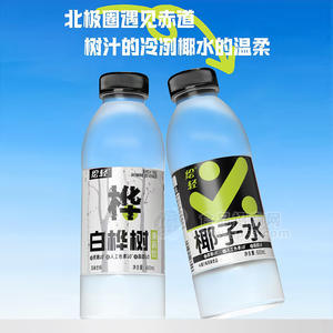 绘轻系列白桦树椰子水风味饮料饮品厂家招商600ml