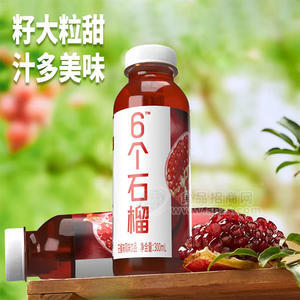 6個石榴石榴味風(fēng)味飲品飲料廠家招商300ml
