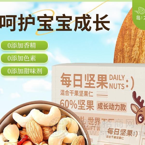 成长动力每日坚果混合坚果750g