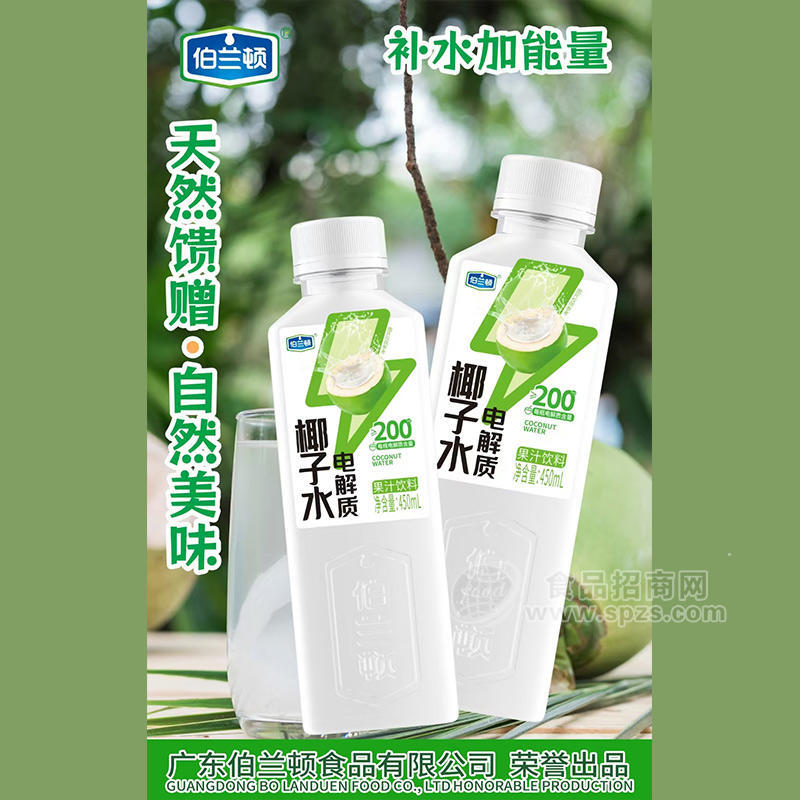 伯兰顿椰子水电解质果汁饮料饮品厂家招商450ml