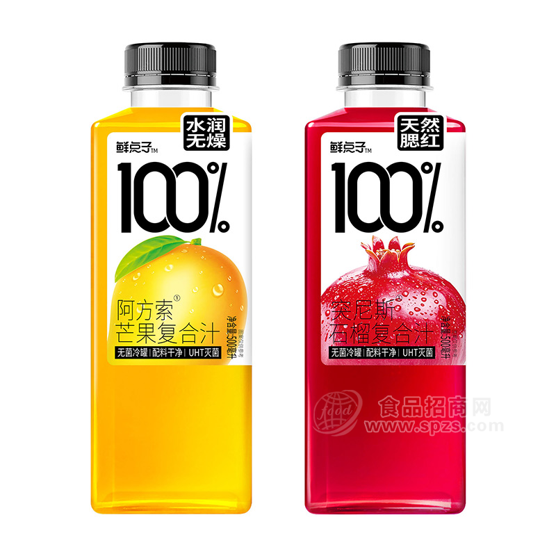 鲜点子果汁系列100%无菌冷罐复合汁饮料500ml