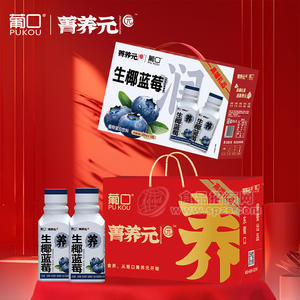 葡口生椰藍(lán)莓植物蛋白飲料飲品招商箱裝