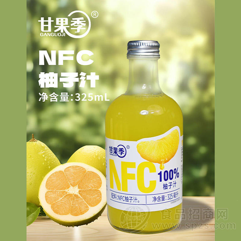 甘果季椰子汁饮品100%NFC饮料厂家招商325ml
