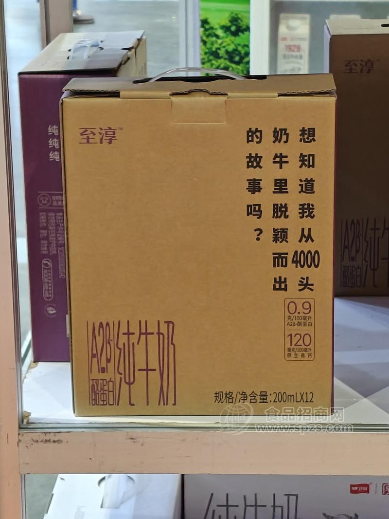 至淳純牛奶200ml