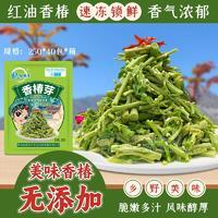 杞动能量酒店餐饮食材速冻香椿芽小包装散装香椿芽招商