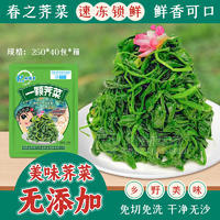 杞动能量 酒店餐饮食材速冻荠菜 诚招代理招商