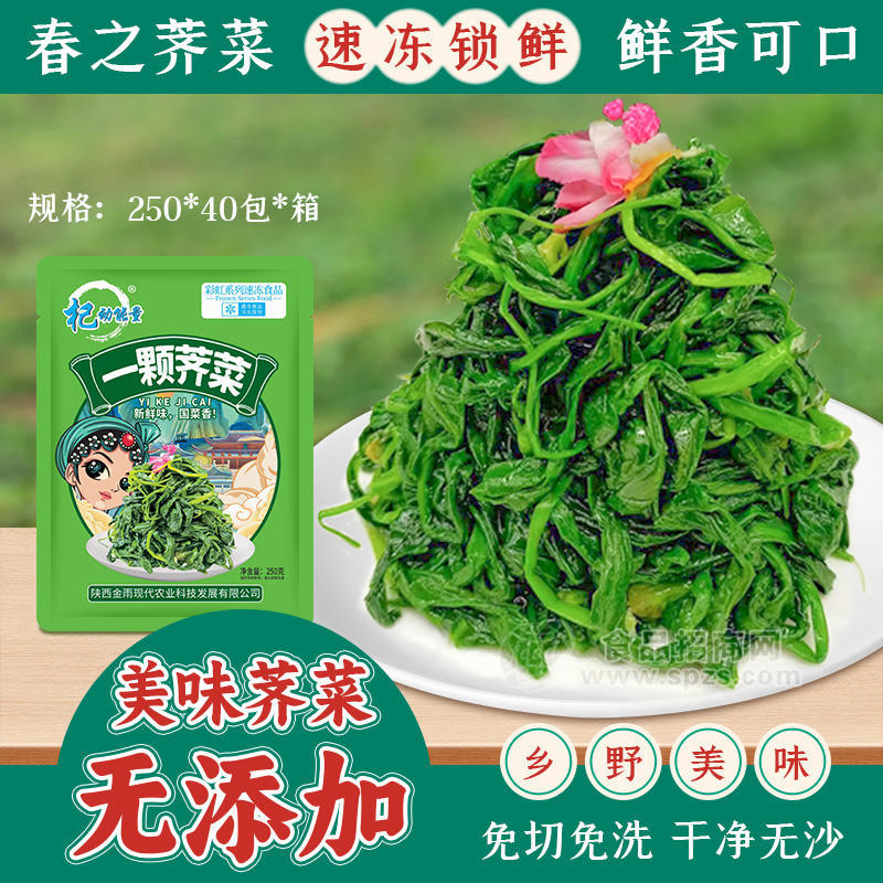 杞動(dòng)能量 酒店餐飲食材速凍薺菜 誠招代理招商