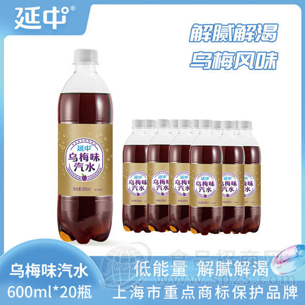 上海延中乌梅味汽水600ml*20瓶碳酸饮料汽水采购批发定制