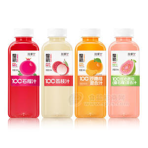 川幸果汁饮料系列500ml