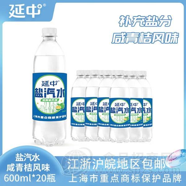 延中盐汽水咸青桔味600ml*20瓶碳酸饮料饮品采购批发厂家