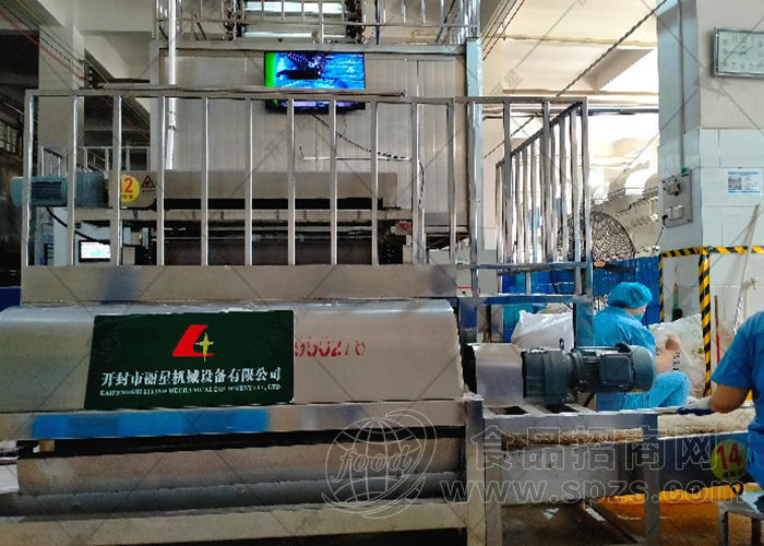 丽星无矾粉条机，自带真空抽气无气泡产生，无需冷库四季生产