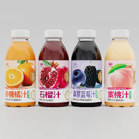 中博果汁飲料系列500ml