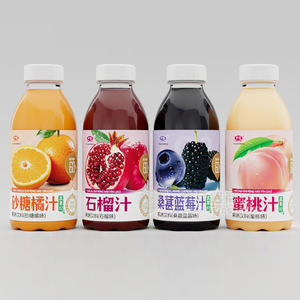 中博果汁饮料系列500ml