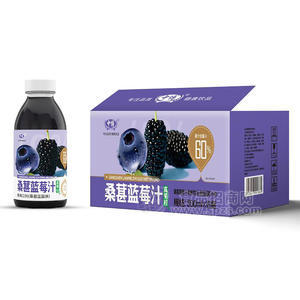 中博桑葚藍(lán)莓汁果味飲料500ml