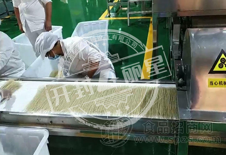 大型粉条机生产线 丽星自动化设备 日产吨级 运行稳定