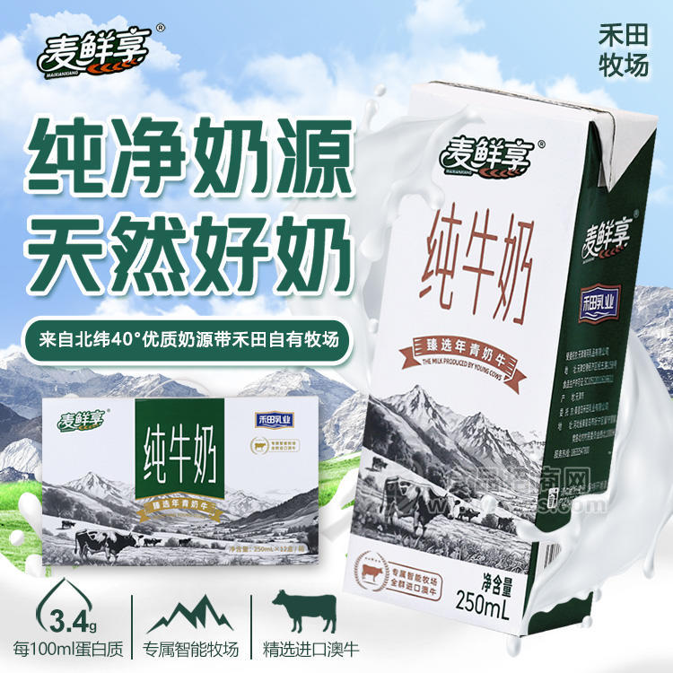 禾田乳业3.4g蛋白全脂纯牛奶250ml*12盒/提