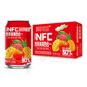 椰臣热带美果四合一果汁饮料310ml