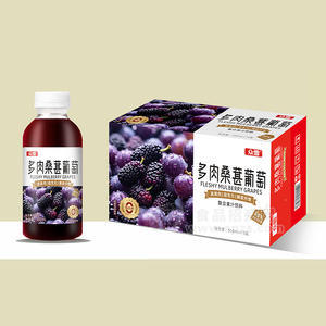 众雪多肉桑葚葡萄复合果汁饮料500ml