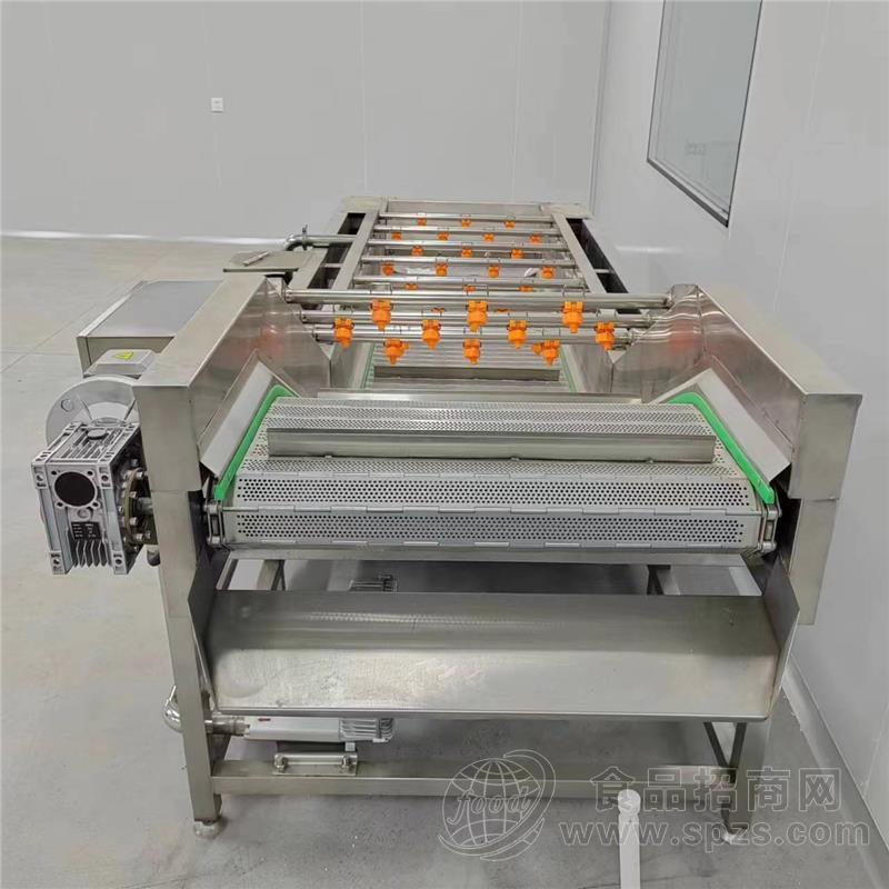 全自动气泡清洗机 水果蔬菜清洗设备 预制菜全套加工清洗流水线