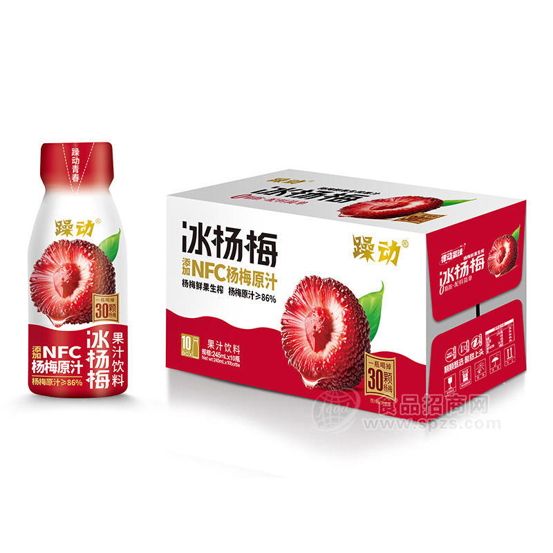 躁动冰杨梅汁果汁饮料245ml