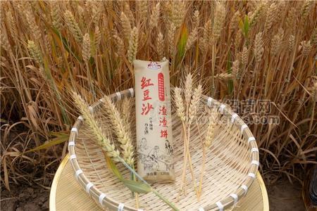 唛奇熊红豆沙渣渣饼酥饼128g