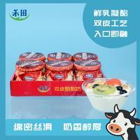禾田双皮奶酸奶杯装网红风味发酵乳160g*6杯