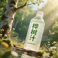 桦树汁代加工无菌冷灌装PET瓶