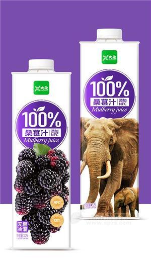 大象饮品桑葚汁