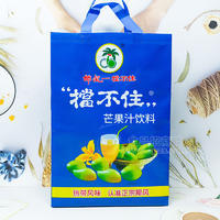 椰风挡不住礼盒装芒果汁饮料