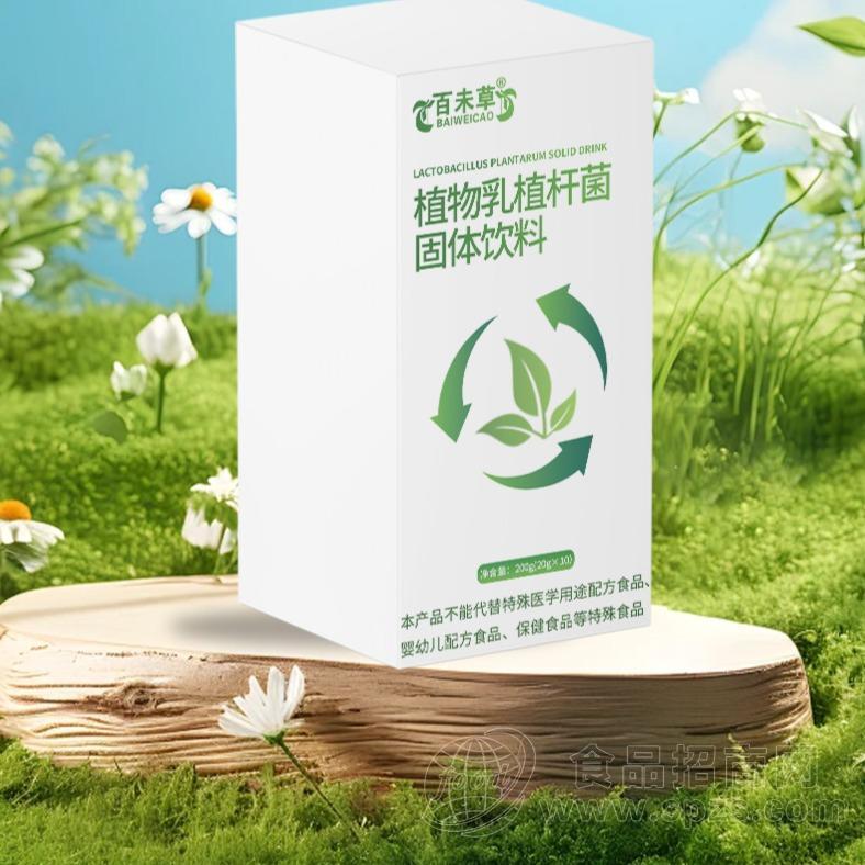 植物乳植杆菌固体饮料贴牌代加工冲调食品OEM