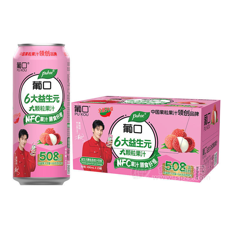 葡口益生元果粒荔枝汁饮料490mlx15罐